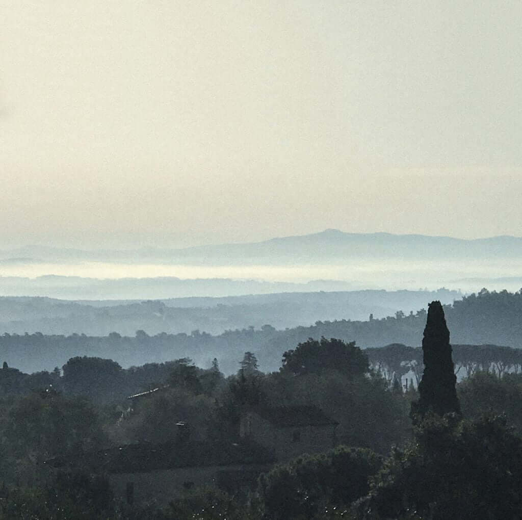 Tranquil Dawn