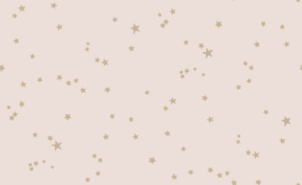 Stars, Metallic Gilver on Ballet Slipper - Cole & Son