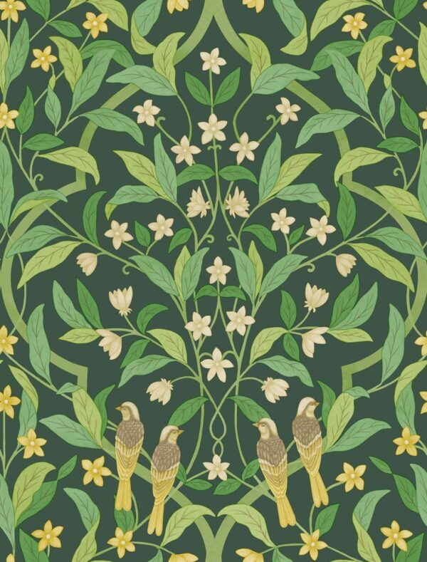 Jasmine & Serin Symphony - Cole & Son