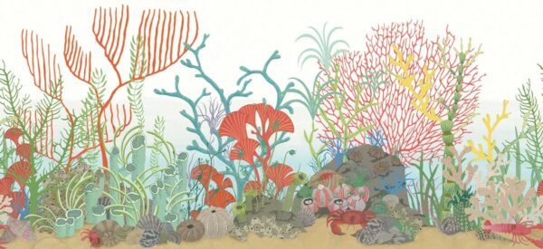 Archipelago Border - Cole & Son
