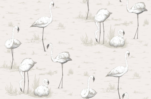 Flamingos - Cole & Son