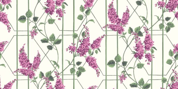 Wisteria, Magenta & Leaf Green on Chalk - Cole & Son