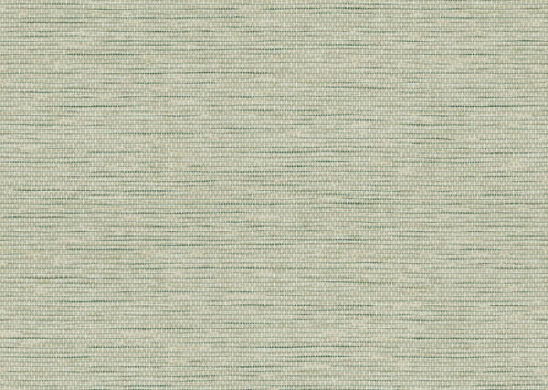 Le Papier Tissé Pistache - Arte