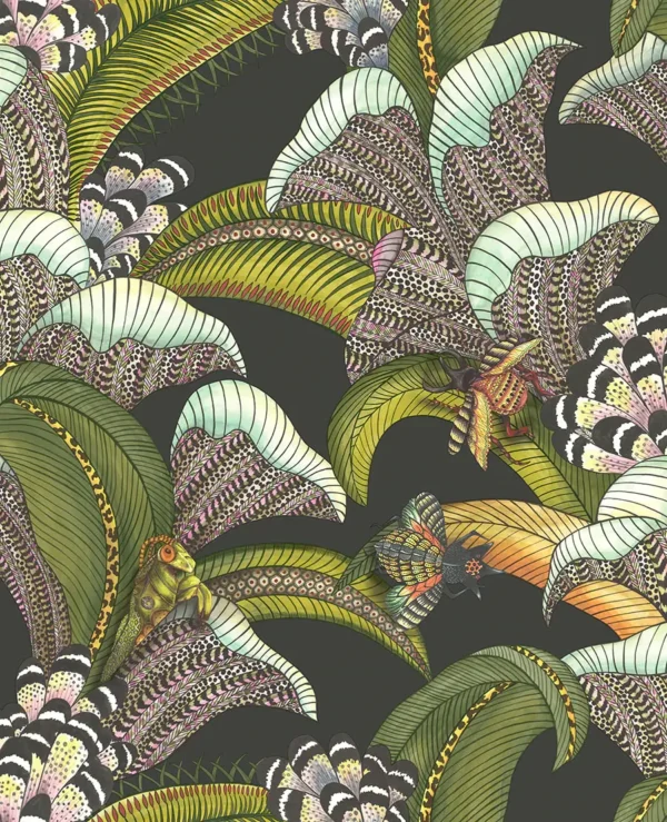 Hoopoe Leaves, Olive Green, Chartreuse & Fuchsia on Black - Cole & Son