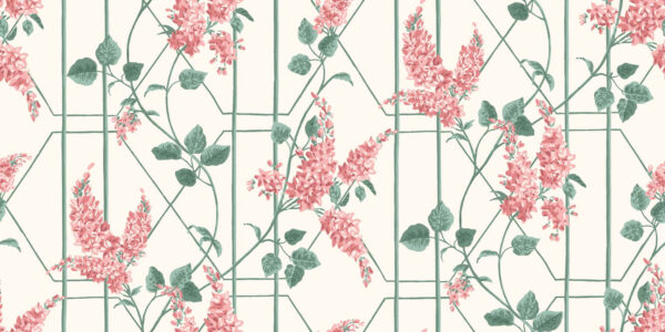 Wisteria, Coral & Sage on White - Cole & Son