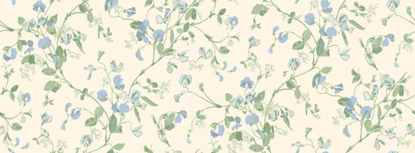 Sweet Pea, Cerulean & Sky on White - Cole & Son