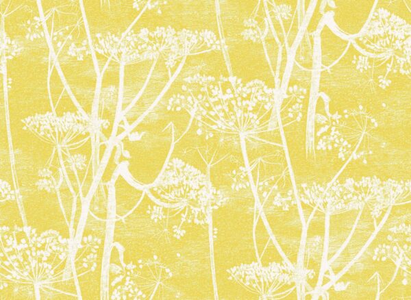 Cow Parsley - Cole & Son