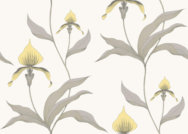 Orchid - Cole & Son