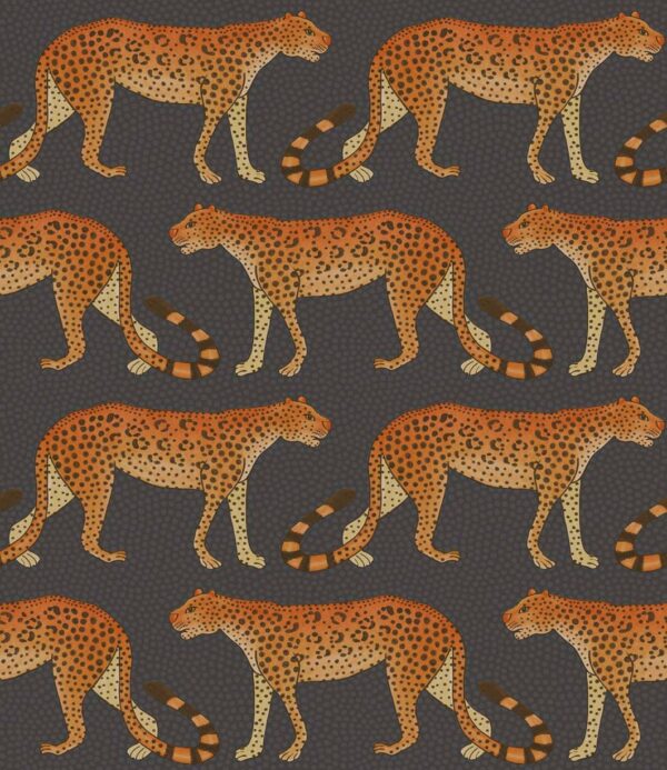 Leopard Walk, Burnt Orange on Charcoal - Cole & Son
