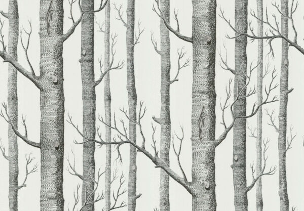 Woods - Cole & Son