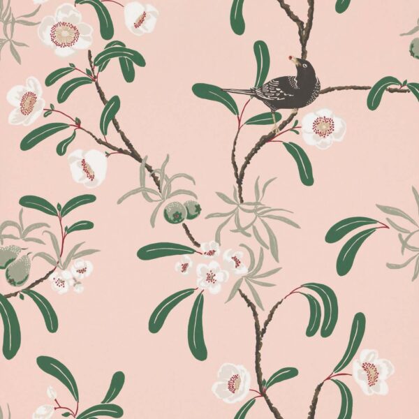 Antonia, Pink - Sandberg