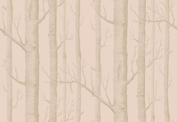 Woods, Metallic Gilver on Ballet Slipper - Cole & Son