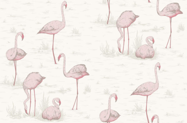 Flamingos, Blush & Cerise on White - Cole & Son