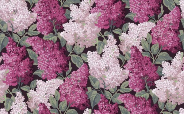 Lilac Grandiflora, Magenta & Blush on Charcoal - Cole & Son