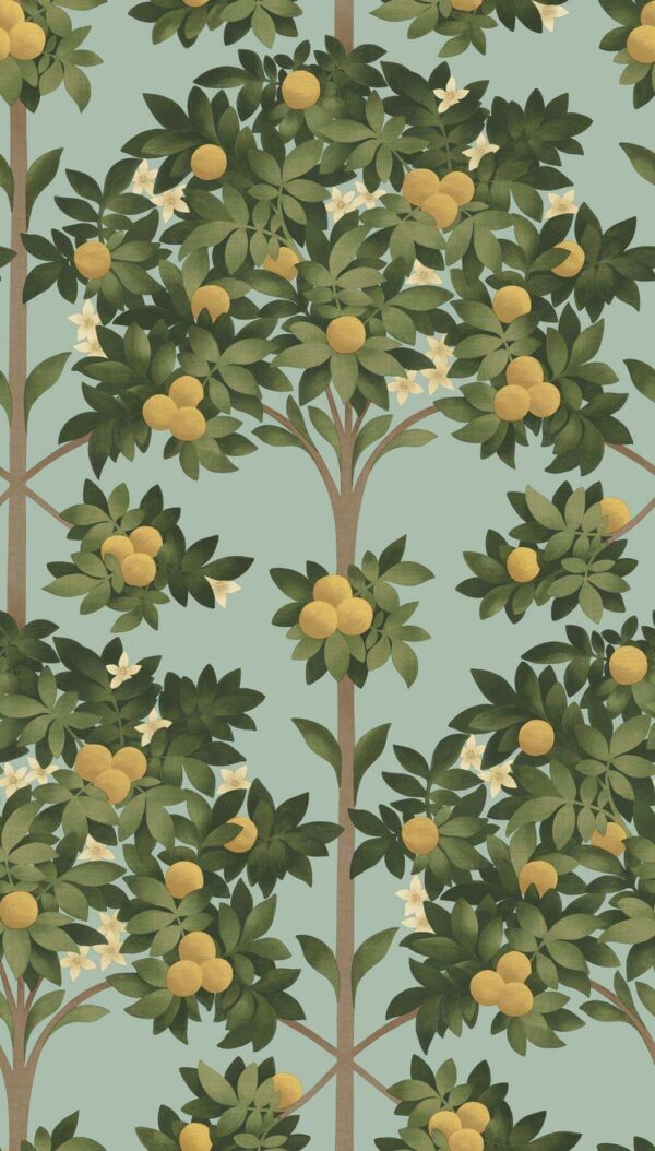 Orange Blossom - Cole & Son