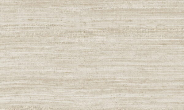Tasar Silver Sand - Arte