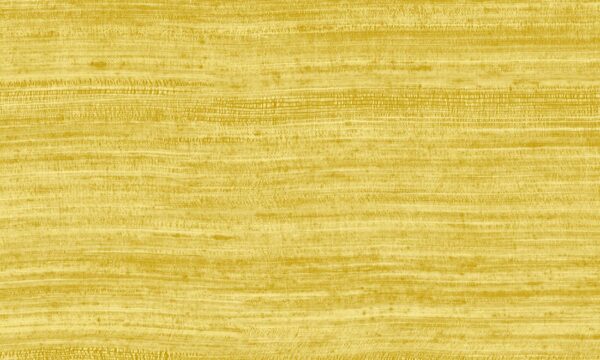 Tasar Marigold - Arte