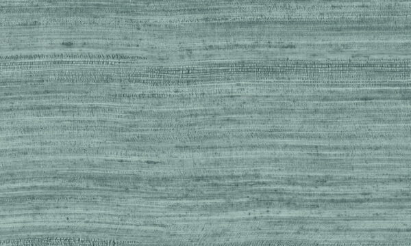 Tasar Teal - Arte