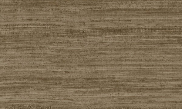 Tasar Bronze - Arte