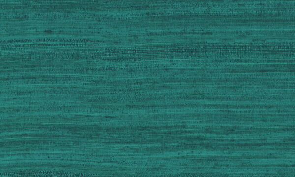 Tasar Deep Lagoon - Arte