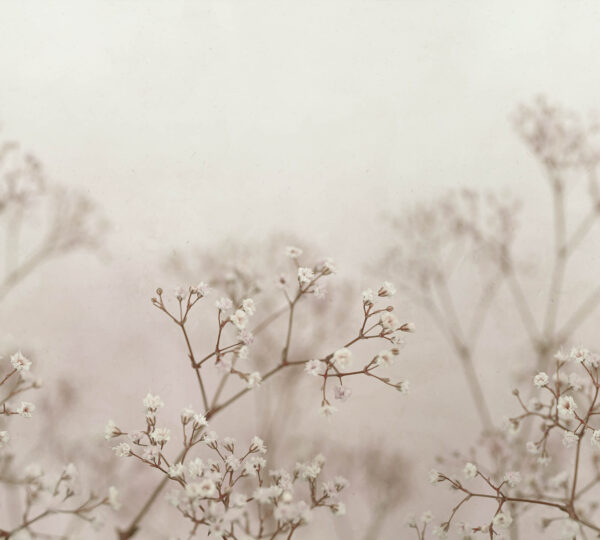 Julia Blush - Sandberg
