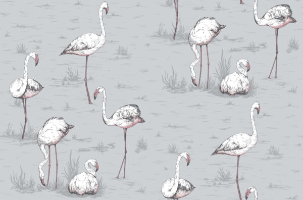 Flamingos, Heath Grey - Cole & Son