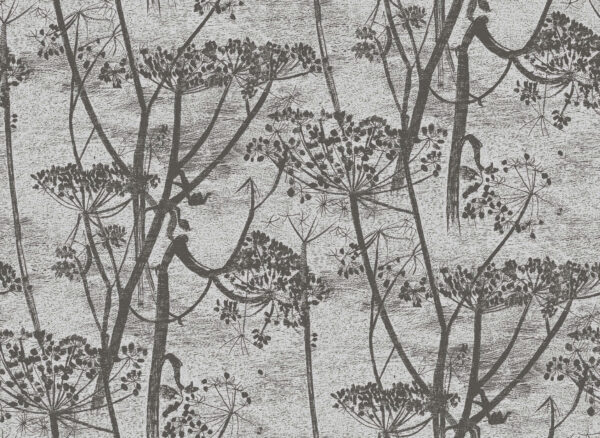 Cow Parsley - Cole & Son
