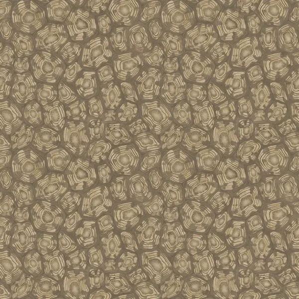 Savanna Shell, Metallic Gilver, Cedar & Metallic Gold - Cole & Son