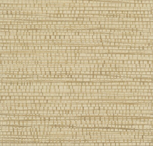 Ruban Honey Beige - Arte