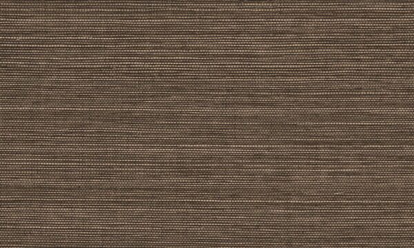 Marsh Aged Cedar - Arte