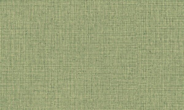 Nongo Olive - Arte
