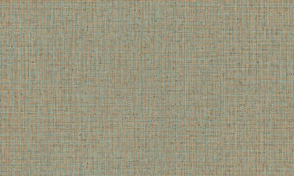 Nongo Blue Orange - Arte