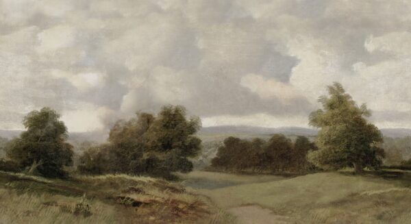 Oilpainting Landscape - Boråstapeter