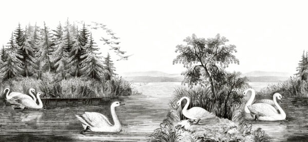 Swan Lake - Rebel Walls