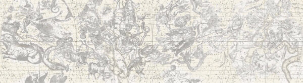 Star Maps,  White - Rebel Walls