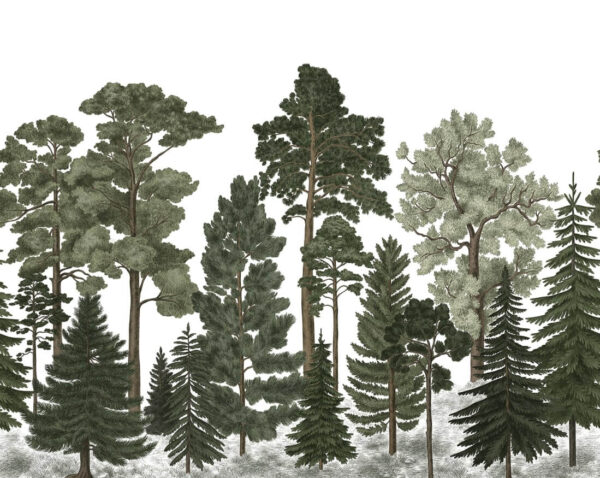 Scandinavian Bellewood - Rebel Walls