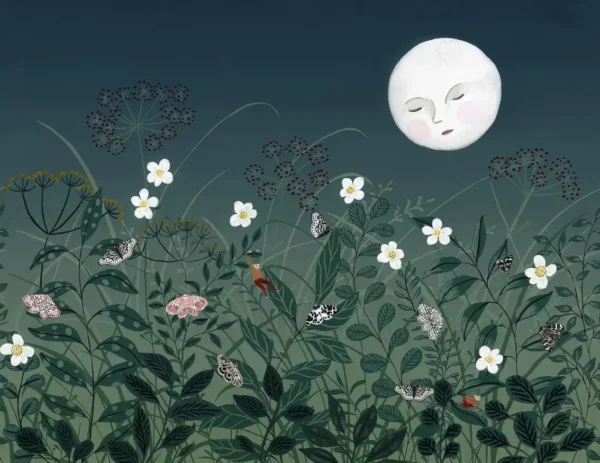 Pixie, Night - Rebel Walls