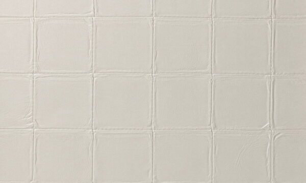 Alma Eggshell - Arte