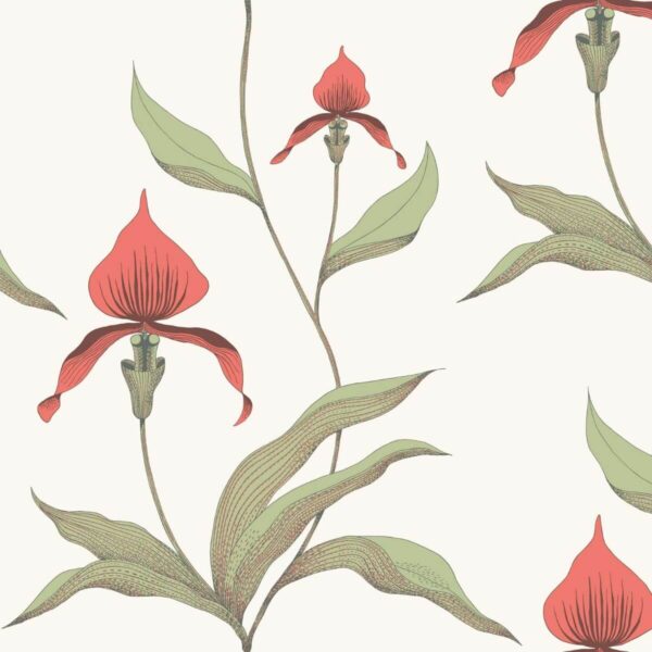 Orchid - Cole & Son