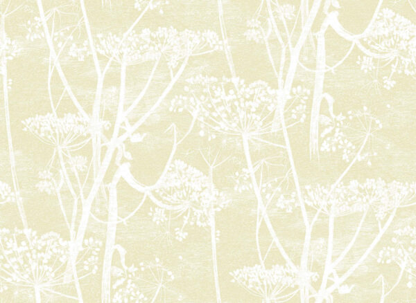 Cow Parsley, White & Soft Yellow - Cole & Son