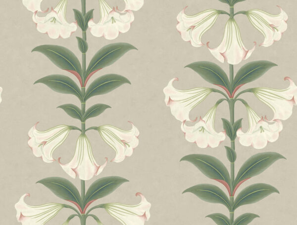 Angel's Trumpet - Cole & Son