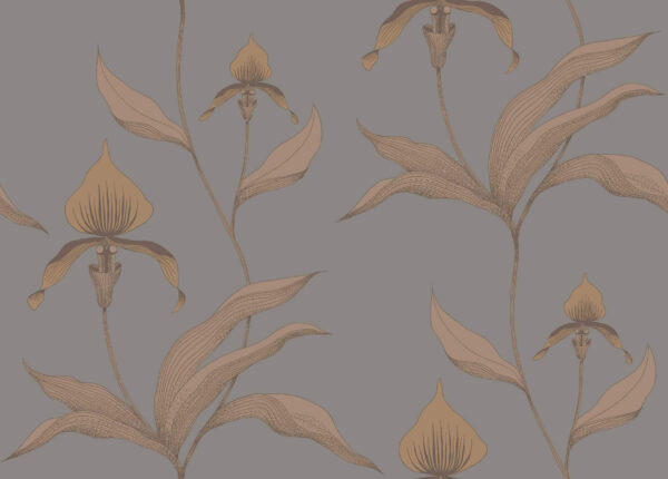 Orchid - Cole & Son