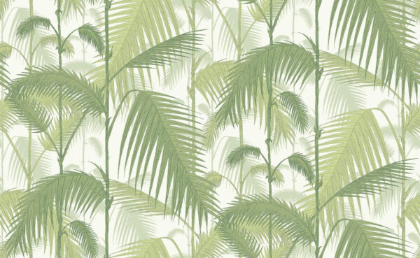 Palm Jungle - Cole & Son