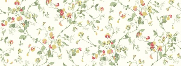 Sweet Pea, Yellow & Coral on Cream - Cole & Son