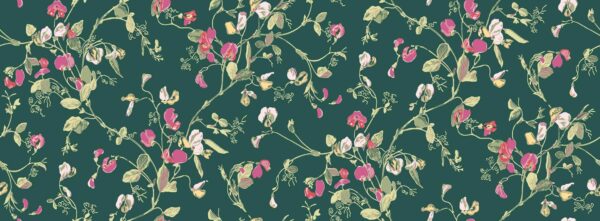 Sweet Pea, Cerise & Magenta on Dark Viridian - Cole & Son