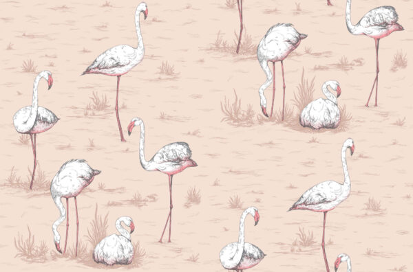 Flamingos, Plaster Pink - Cole & Son