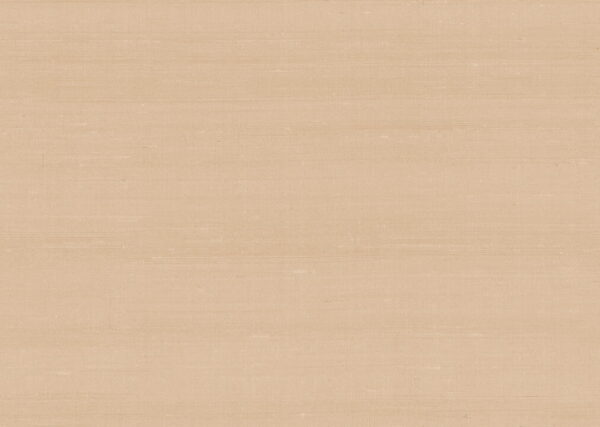 Latus Sand - Arte