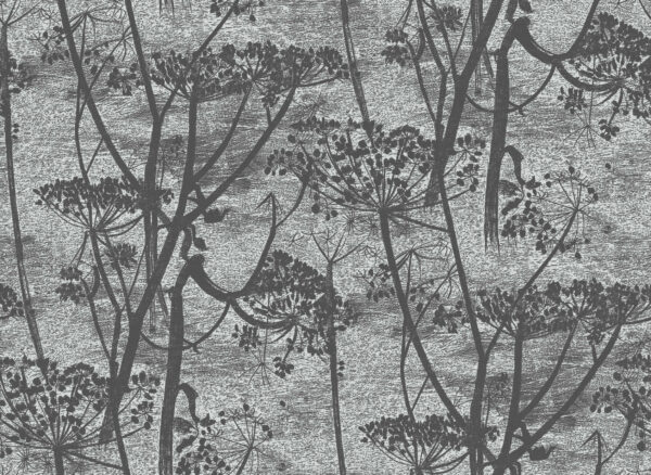 Cow Parsley, Charcoal - Cole & Son