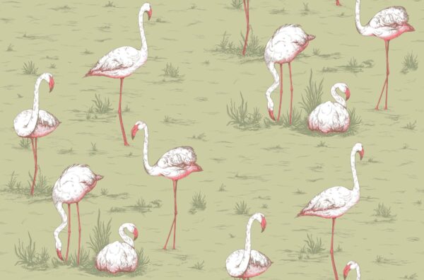 Flamingos, Olive - Cole & Son