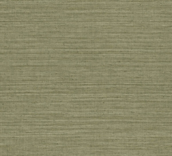 Lignes Olive - Arte